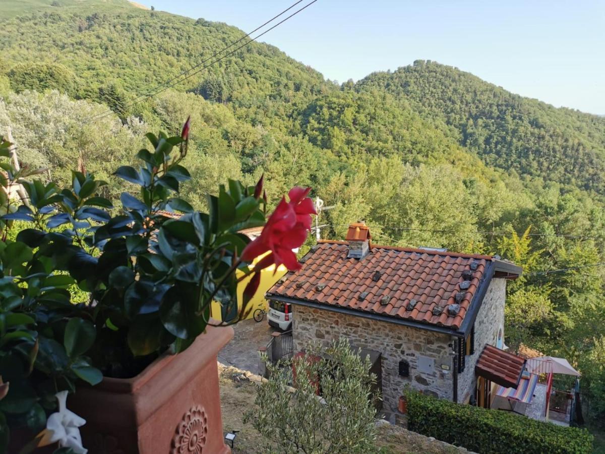 Deliziosa Casetta Sull'Appennino Toscano Montefegatesi Екстериор снимка